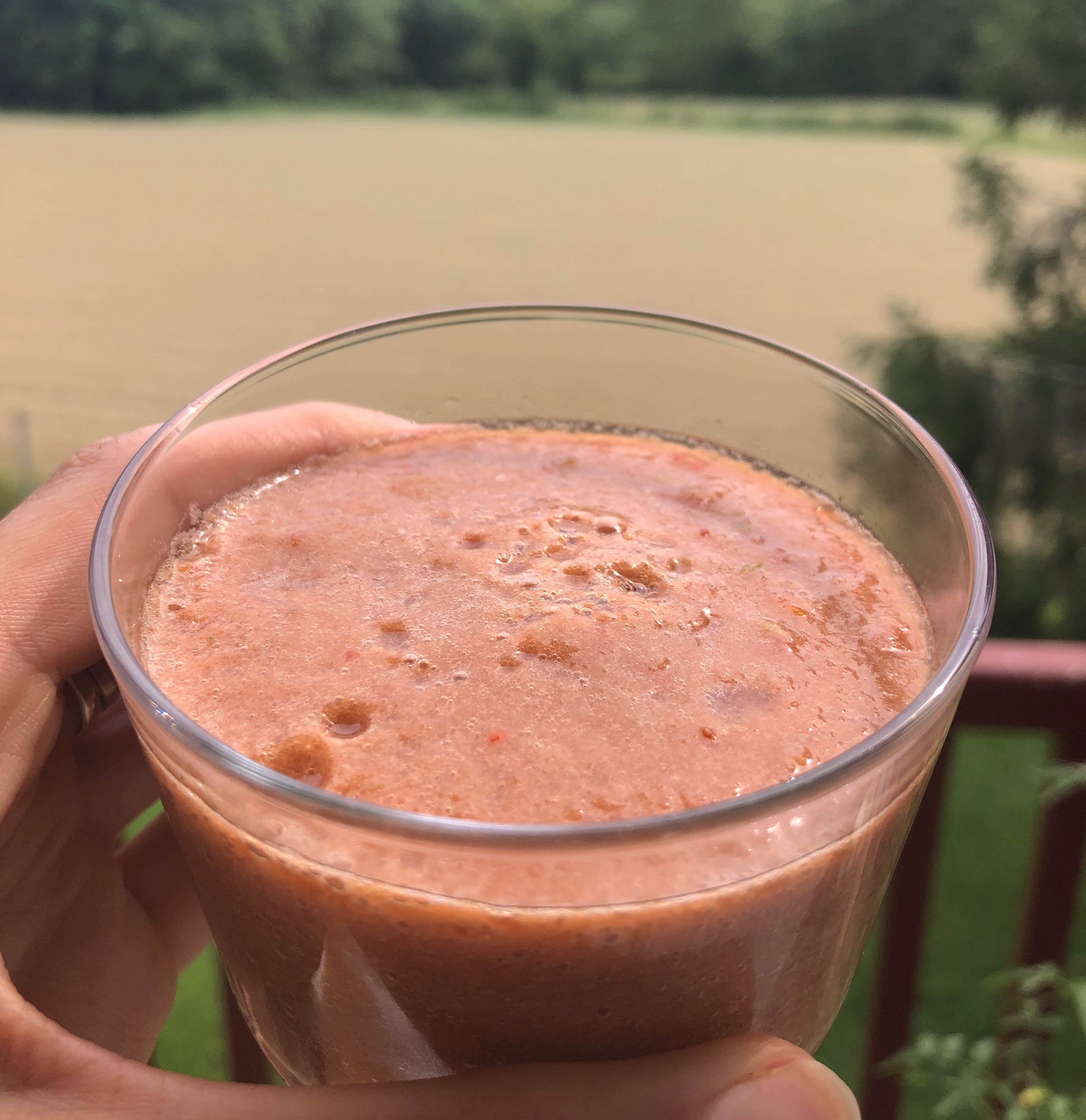 Gaspacho rafraichissant tomates et poivrons